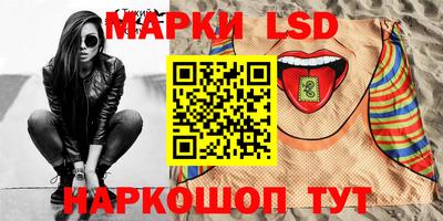 стафф Камышлов