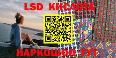 стафф Камышлов