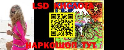 стафф Камышлов