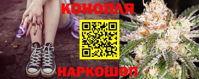 стафф Камышлов
