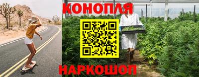 тгк Канаш