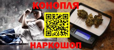 стафф Камышлов